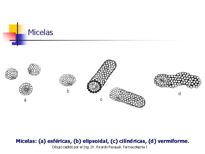 Micelas: (a) esféricas, (b) elipsoidal, (c) cilíndricas, (d) vermiforme. Dibujo cedido por el Ing.