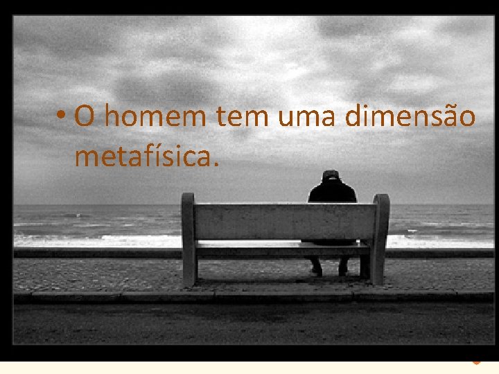  • O homem tem uma dimensão metafísica. 