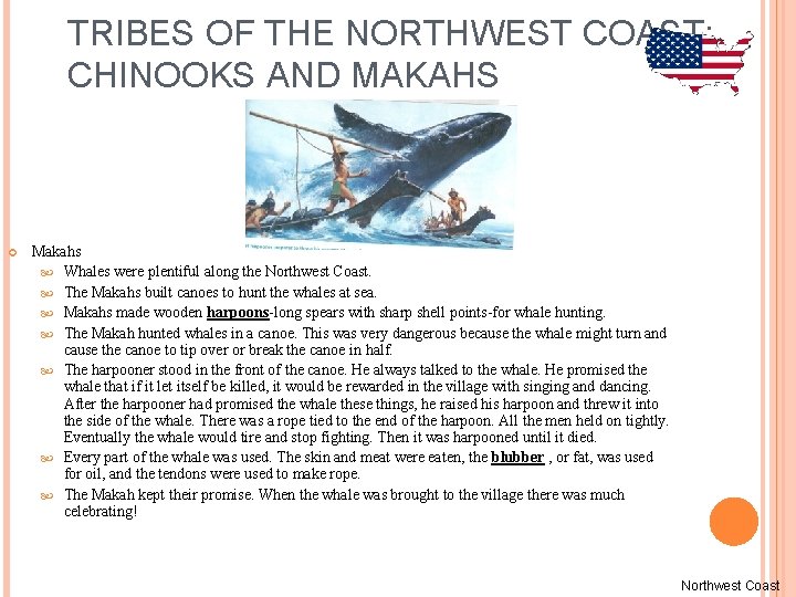 TRIBES OF THE NORTHWEST COAST: CHINOOKS AND MAKAHS Makahs Whales were plentiful along the