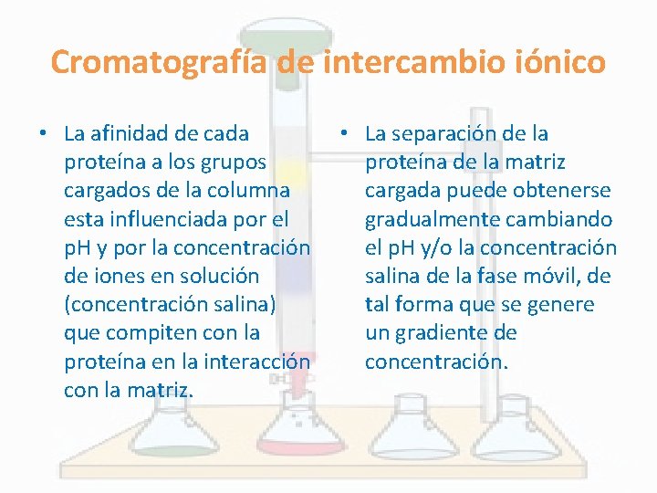 Cromatografía de intercambio iónico • La afinidad de cada • La separación de la