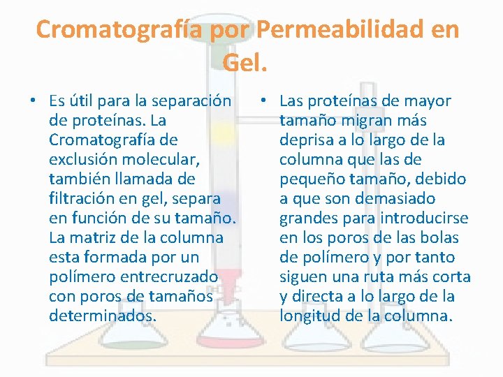 Cromatografía por Permeabilidad en Gel. • Es útil para la separación de proteínas. La