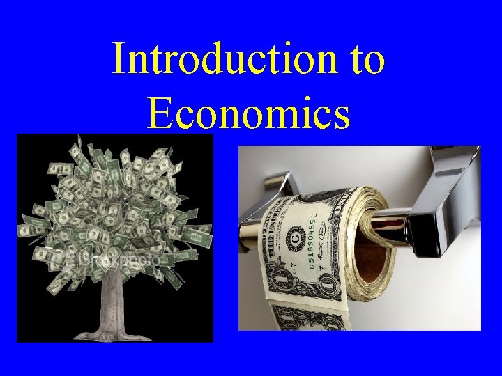 Introduction to Economics 