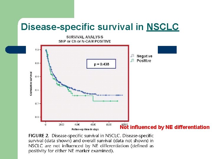 Disease-specific survival in NSCLC Not influenced by NE differentiation 