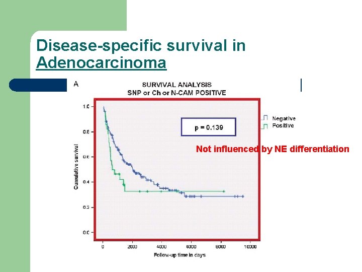 Disease-specific survival in Adenocarcinoma Not influenced by NE differentiation 