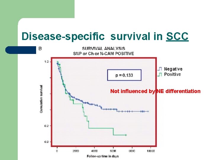 Disease-specific survival in SCC Not influenced by NE differentiation 