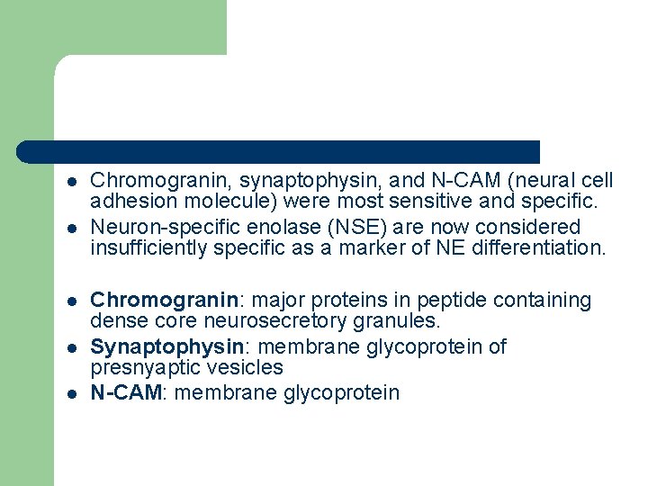 l l l Chromogranin, synaptophysin, and N-CAM (neural cell adhesion molecule) were most sensitive