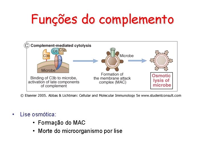 Funções do complemento • Lise osmótica: • Formação do MAC • Morte do microorganismo