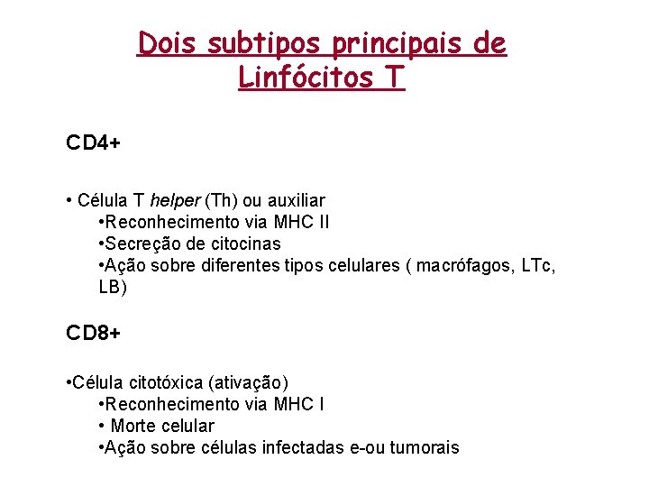 Dois subtipos principais de Linfócitos T CD 4+ • Célula T helper (Th) ou