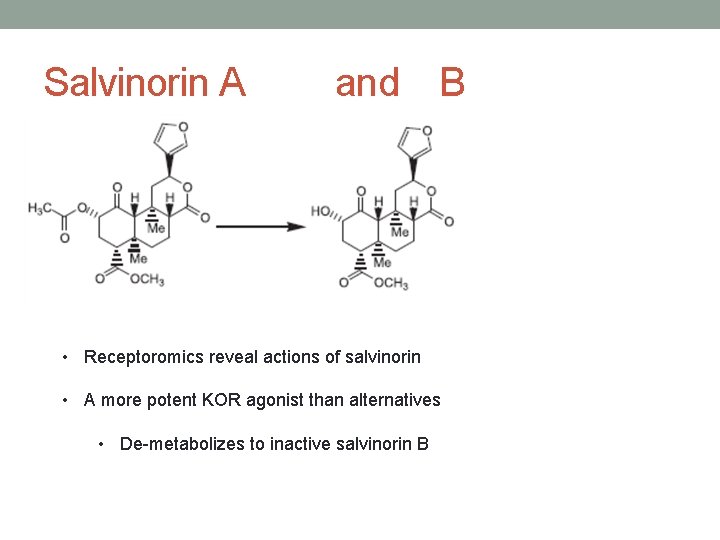 Salvinorin A and B • Receptoromics reveal actions of salvinorin • A more potent