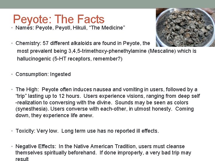 Peyote: The Facts • Names: Peyote, Peyotl, Hikuli, “The Medicine” • Chemistry: 57 different