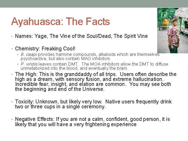 Ayahuasca: The Facts • Names: Yage, The Vine of the Soul/Dead, The Spirit Vine