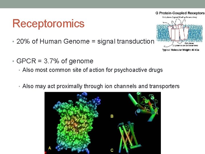 Receptoromics • 20% of Human Genome = signal transduction • GPCR = 3. 7%