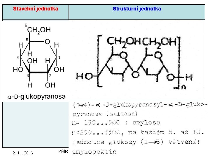 Stavební jednotka Strukturní jednotka 54 2. 11. 2016 PŘÍRODNÍ POLYMERY polysacharidy škrob PŘF MU