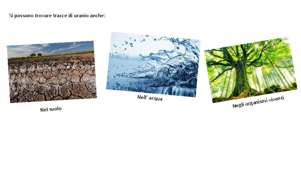 Si possono trovare tracce di uranio anche: Nell’ acqua Nel suolo enti i viv