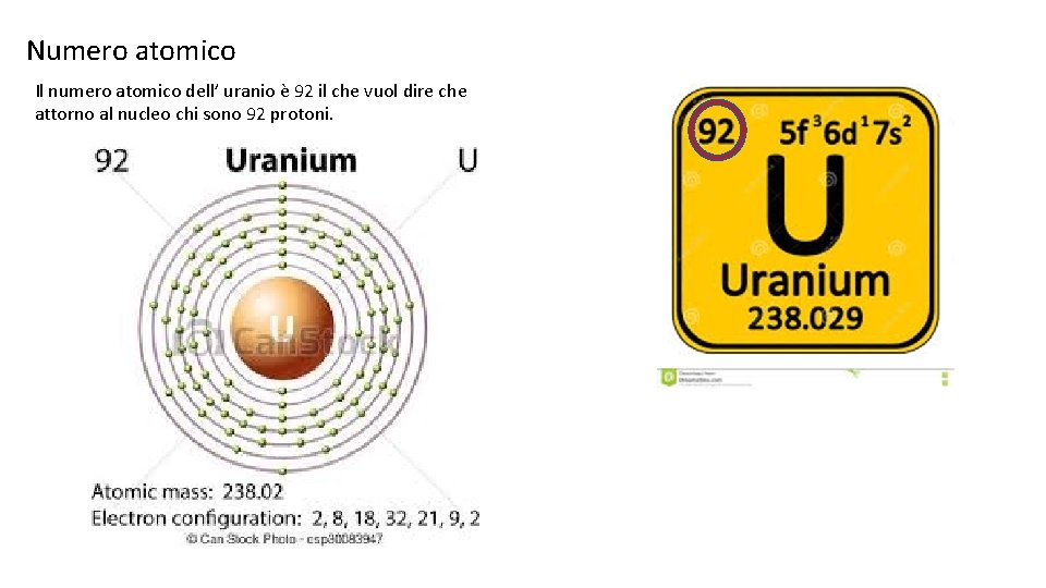 Numero atomico Il numero atomico dell’ uranio è 92 il che vuol dire che
