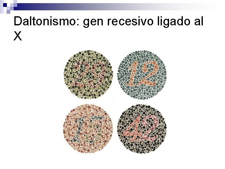 Daltonismo: gen recesivo ligado al X 