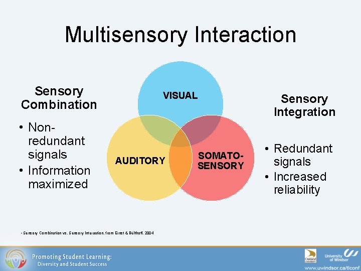 Multisensory Interaction Sensory Combination • Nonredundant signals • Information maximized VISUAL AUDITORY • Sensory