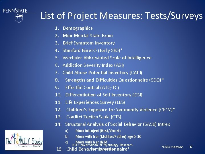 List of Project Measures: Tests/Surveys 1. Demographics 2. Mini-Mental State Exam 3. Brief Symptom