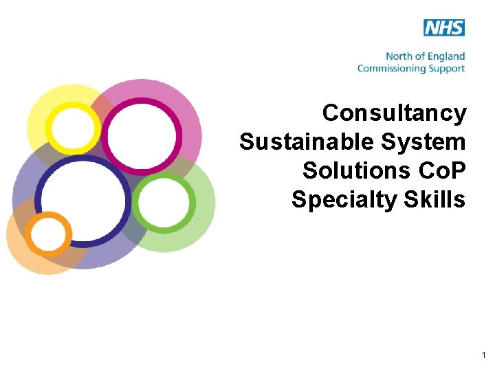 Consultancy Sustainable System Solutions Co. P Specialty Skills 1 