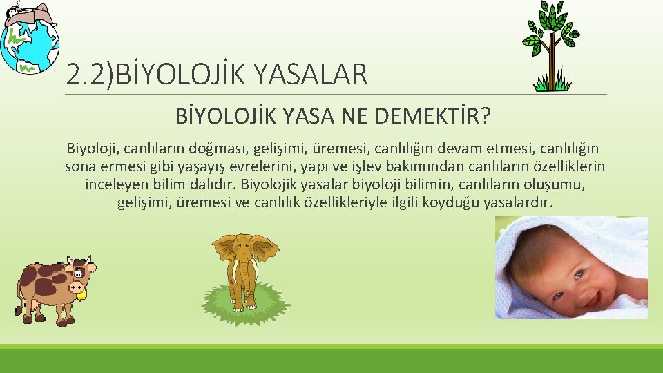 2. 2)BİYOLOJİK YASALAR BİYOLOJİK YASA NE DEMEKTİR? Biyoloji, canlıların doğması, gelişimi, üremesi, canlılığın devam