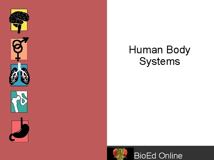 Human Body Systems Bio. Ed Online 