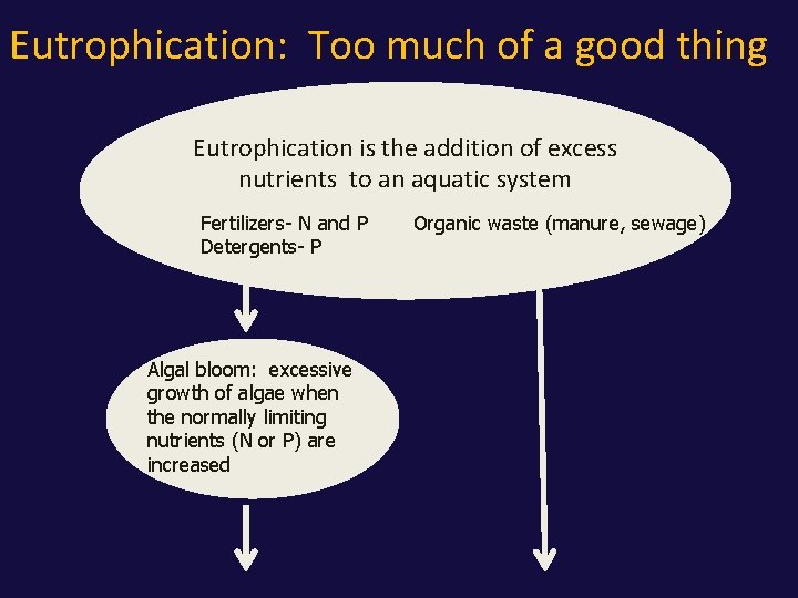 Eutrophication: Too much of a good thing Eutrophication is the addition of excess nutrients