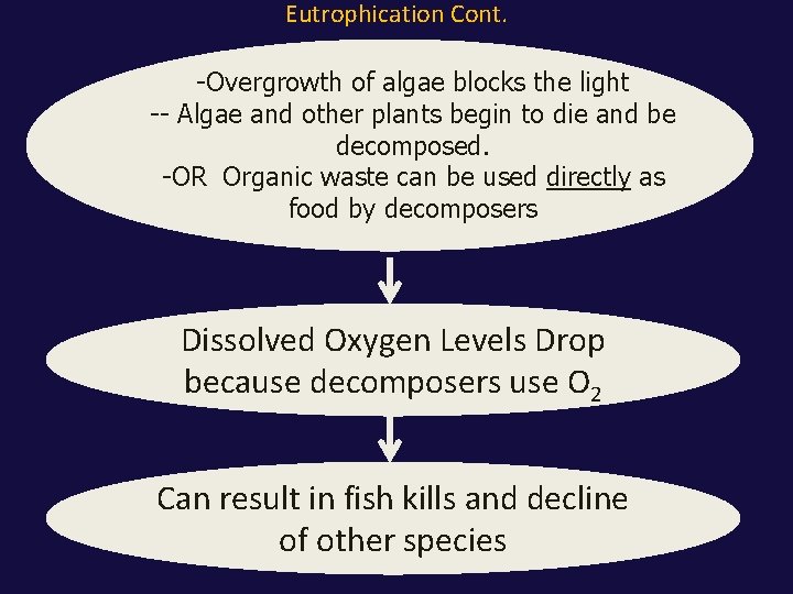 Eutrophication Cont. -Overgrowth of algae blocks the light -- Algae and other plants begin