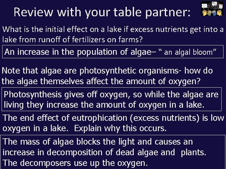 Review with your table partner: What is the initial effect on a lake if