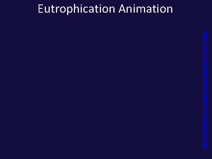 Eutrophication Animation http: //www. youtube. com/watch? v=UGq. Zs. Su. G 7 ao 