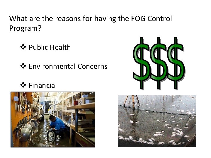 What are the reasons for having the FOG Control Program? v Public Health v