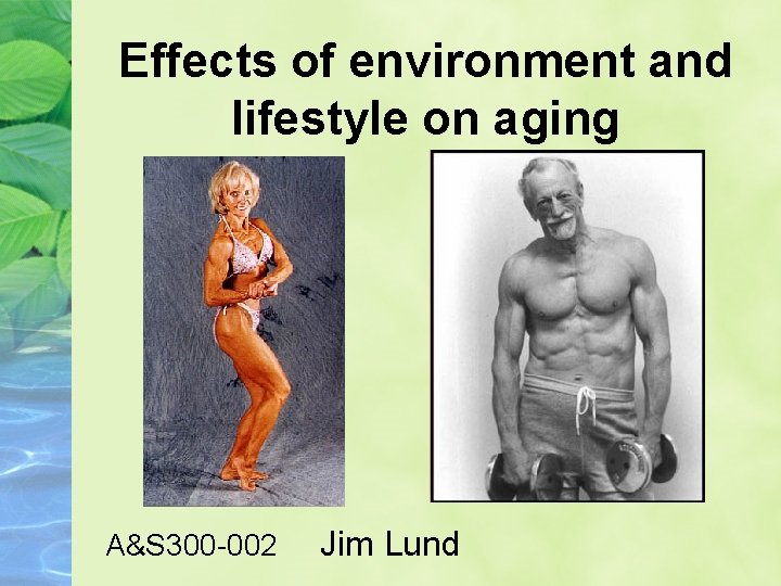 Effects of environment and lifestyle on aging A&S 300 -002 Jim Lund 