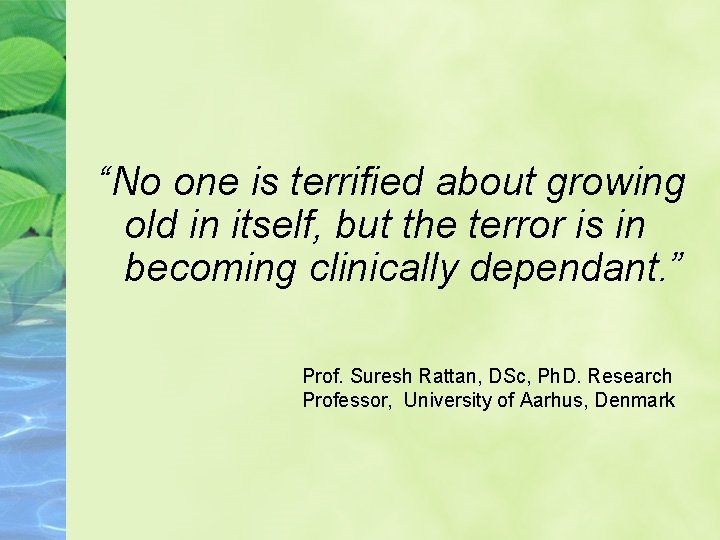 “No one is terrified about growing old in itself, but the terror is in