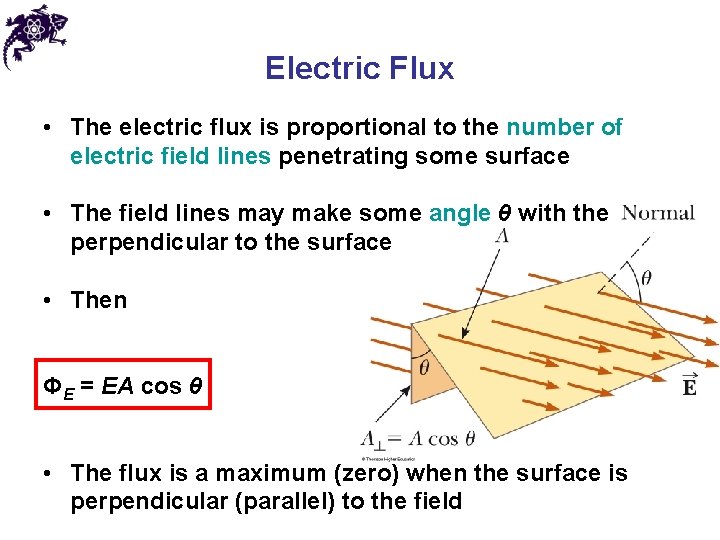 Electric Flux • The electric flux is proportional to the number of electric field