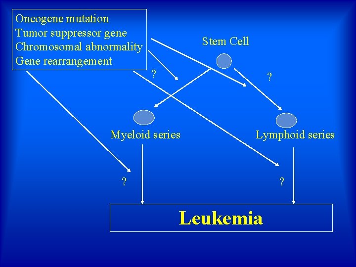 Oncogene mutation Tumor suppressor gene Chromosomal abnormality Gene rearrangement Stem Cell ? ? Myeloid