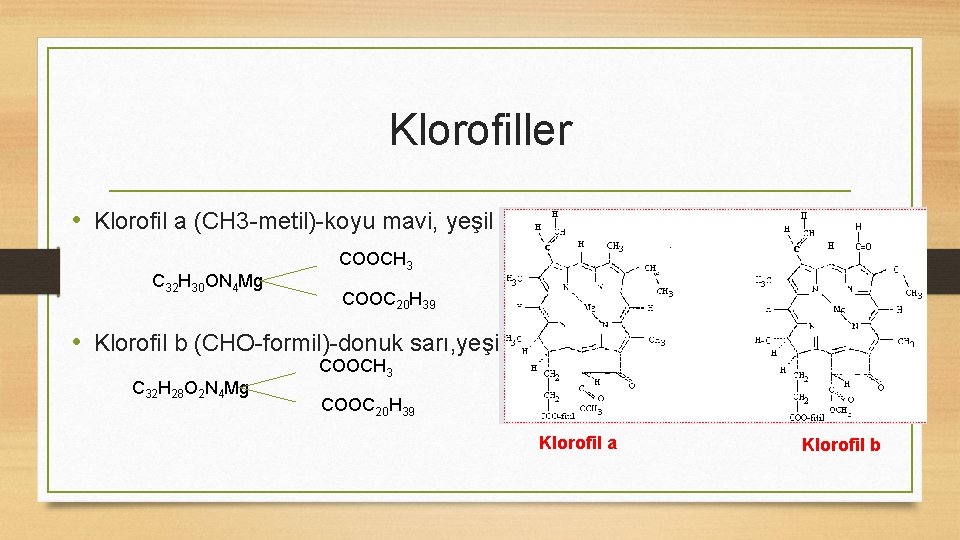 Klorofiller • Klorofil a (CH 3 -metil)-koyu mavi, yeşil C 32 H 30 ON