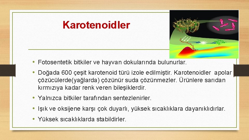  Karotenoidler • Fotosentetik bitkiler ve hayvan dokularında bulunurlar. • Doğada 600 çeşit karotenoid