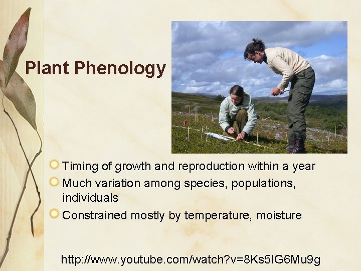 Plant Phenology Timing of growth and reproduction within a year Much variation among species,