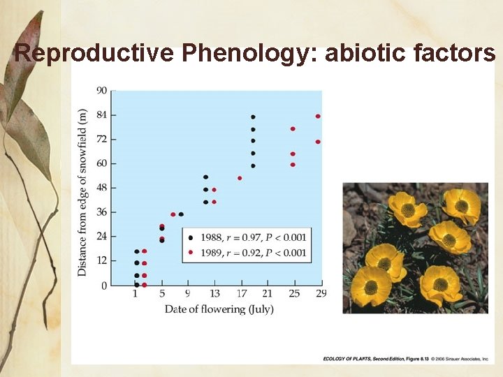 Reproductive Phenology: abiotic factors 