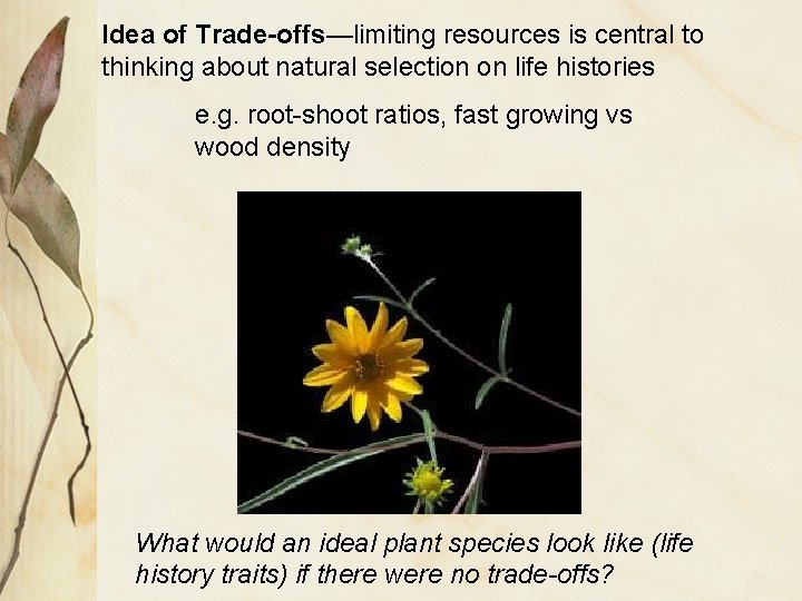 Idea of Trade-offs—limiting resources is central to thinking about natural selection on life histories