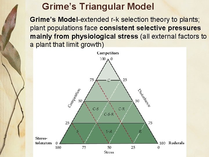 Grime’s Triangular Model Grime’s Model-extended r-k selection theory to plants; plant populations face consistent