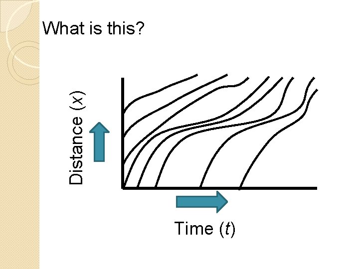 Distance (x) What is this? Time (t) 