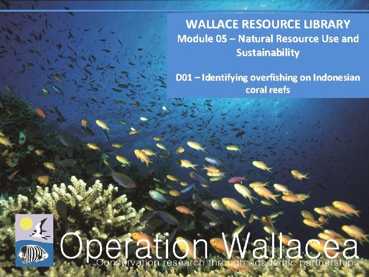 WALLACE RESOURCE LIBRARY Module 05 – Natural Resource Use and Sustainability D 01 –