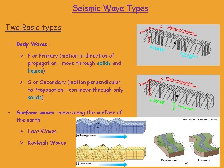 Seismic Wave Types Two Basic types • Body Waves: Ø P or Primary (motion Seismic Wave Types Two Basic types • Body Waves: Ø P or Primary (motion