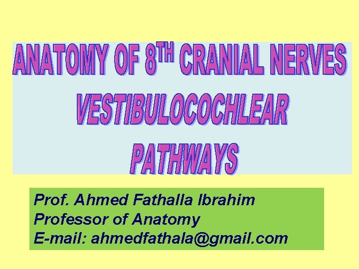 Prof. Ahmed Fathalla Ibrahim Professor of Anatomy E-mail: ahmedfathala@gmail. com 