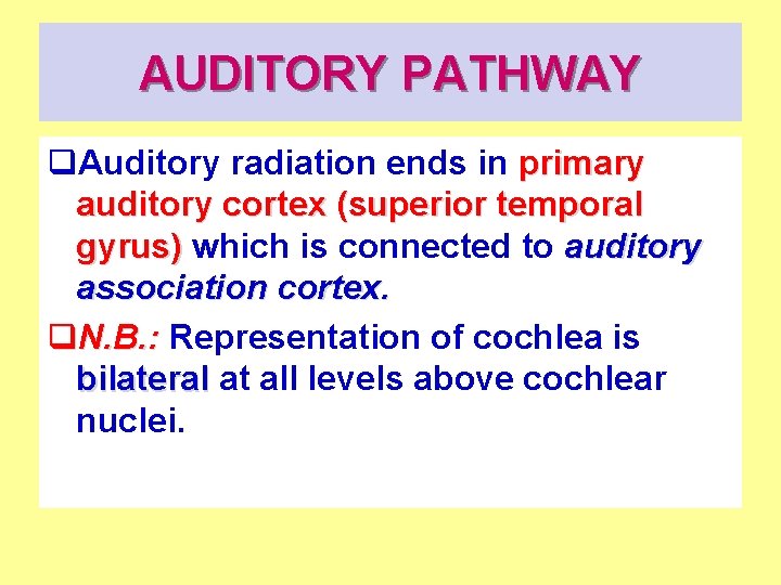 AUDITORY PATHWAY q. Auditory radiation ends in primary auditory cortex (superior temporal gyrus) which