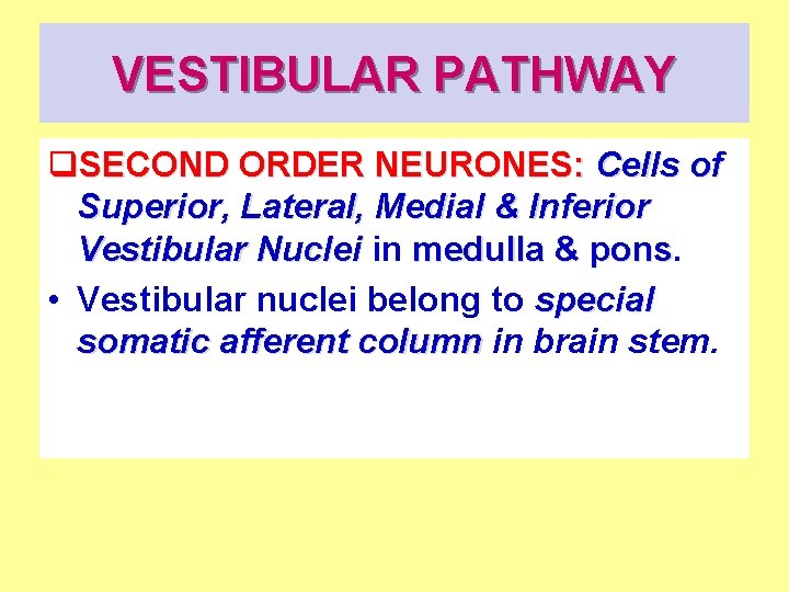 VESTIBULAR PATHWAY q. SECOND ORDER NEURONES: Cells of Superior, Lateral, Medial & Inferior Vestibular