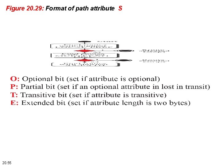 Figure 20. 29: Format of path attribute S 20. 55 