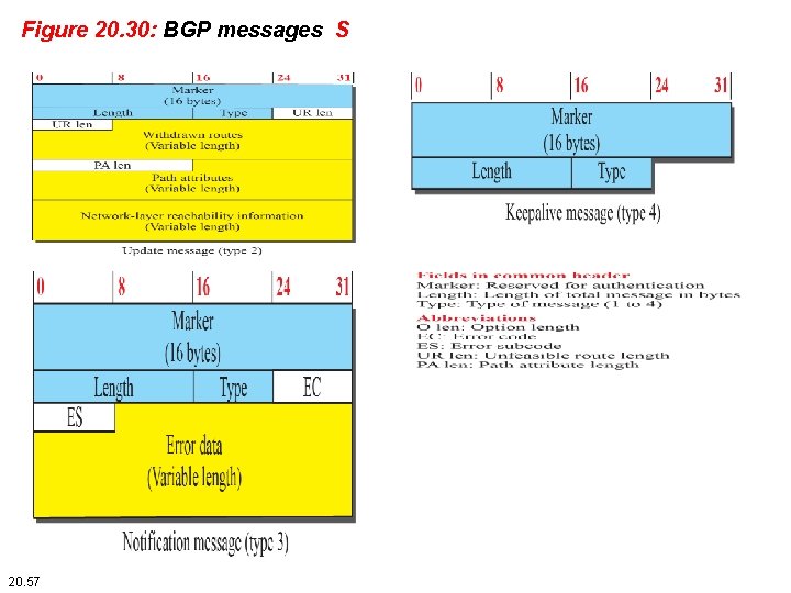 Figure 20. 30: BGP messages S 20. 57 