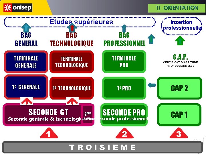 1) ORIENTATION Etudes supérieures Insertion professionnelle BAC GENERAL BAC TECHNOLOGIQUE BAC PROFESSIONNEL TERMINALE GENERALE 1) ORIENTATION Etudes supérieures Insertion professionnelle BAC GENERAL BAC TECHNOLOGIQUE BAC PROFESSIONNEL TERMINALE GENERALE