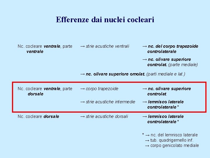 Efferenze dai nuclei cocleari Nc. cocleare ventrale, parte ventrale → strie acustiche ventrali →